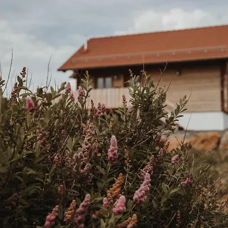 Oberwald Chalets 4 Breungeshain
