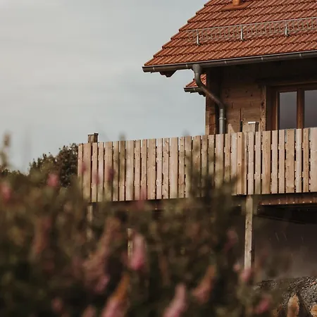 Oberwald Chalets 4 Chalet Breungeshain