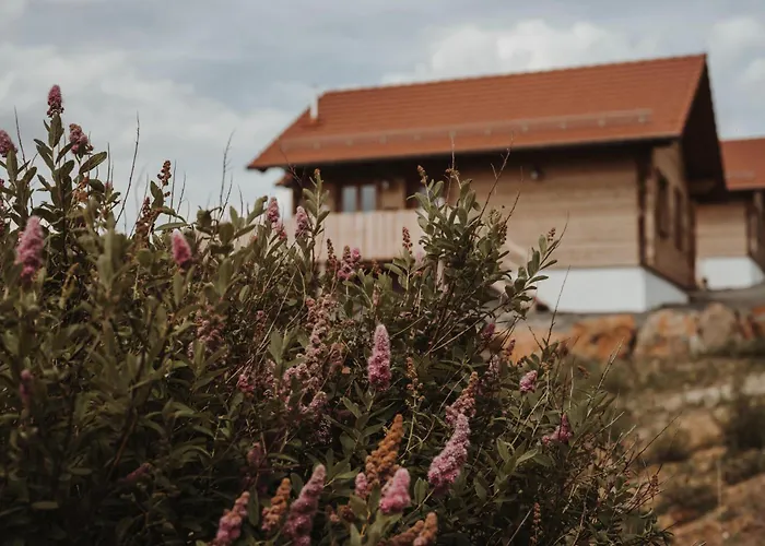 Oberwald 4 Breungeshain